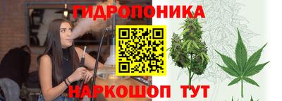 скорость Аргун